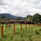 Escuela Vereda Guapaya Medio Vista Hermosa Meta