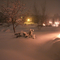 Fresh Snow