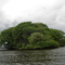 Manglares del PNN Sanquianga, Colombia