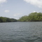 Manglares del Pacifico