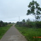 Via Puerto Leguizamo - La Tagua