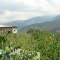 Finca La Libia Pequeña Pijao