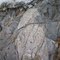 Cordoba Batholith intruding Quebradagrande (close to the Silvia-Pijao Fault)