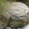 Quebradagrande pillow lavas