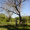 FINCA EN PUERTO WILCHES
