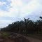 @ La Vía: Jarillón