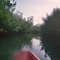Manglar, Reserva Sanguare