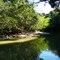Rio Alvarado