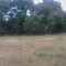 Finca El Arrayan - Zona de Bosque - Mpio de Piedras