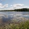 Egg Harbor City Lake 1