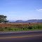 Panoramica del nevado del Tolima