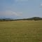 La nueve
