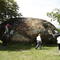 Piedra Avala