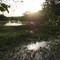 Laguna de Coya