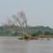 De Prado a Purificación por río.