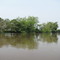 De Prado a Purificación por río (2)