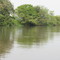 De Prado a Purificación por río (3)