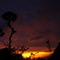atardecer