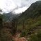 Camiño de Mula a Cerro Perico Purificacion Tolima