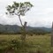 @ la Vía: Paisaje Tolimense