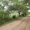@ la Vía: Camino rural a Prado
