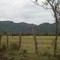 @ la Vía: Fincas Ganaderas