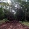 @ la Vía: Quebrada