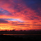 Glowing Sunrise