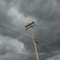 # 53 2009 April NPC Oregon Sky