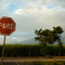 PARE.....EN FLORIDA