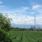 El Valle del Cauca