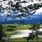 CARTAGO-COLOMBIA-EL LAGO Y LA LLUVIA