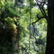 Correimiento de Coloradas, Cartago Valle del Cauca