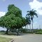 Arbol interesante