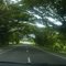 partial view of high way pereira-cali