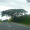 autopista pereira-cali cerca a la victoria