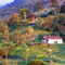 Ashram de la GFU