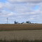 Field