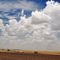 Country Fields in Granger, Texas