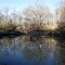 San Gabriel River, at Circleville, TX - February 2013