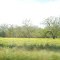 Highway 29 East of Georgetown