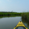 Kayaking near Ft. Eustis