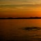 Amanecer en el Orinoco
