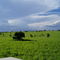 Llanura de Primavera, Vichada
