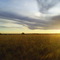 El Sol de los Venados
