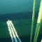 speeding along the Narrows