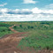 The road to Puerto Careño,Vichada,Colombia