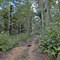 Chupabe, Vichada
