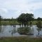 Estero (Vichada)