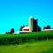 Reese Dairy Farm